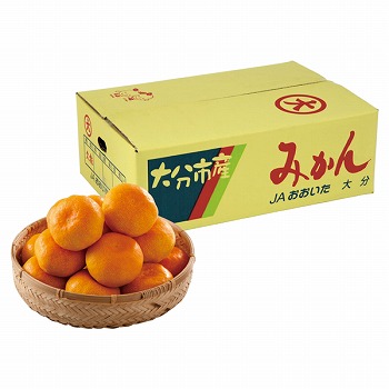 啪Y v\݂ (KM-40)y͂ԁF12{`z